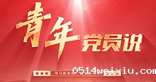 青年党员说